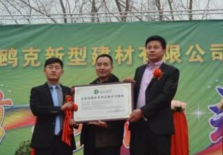 企業合影展示